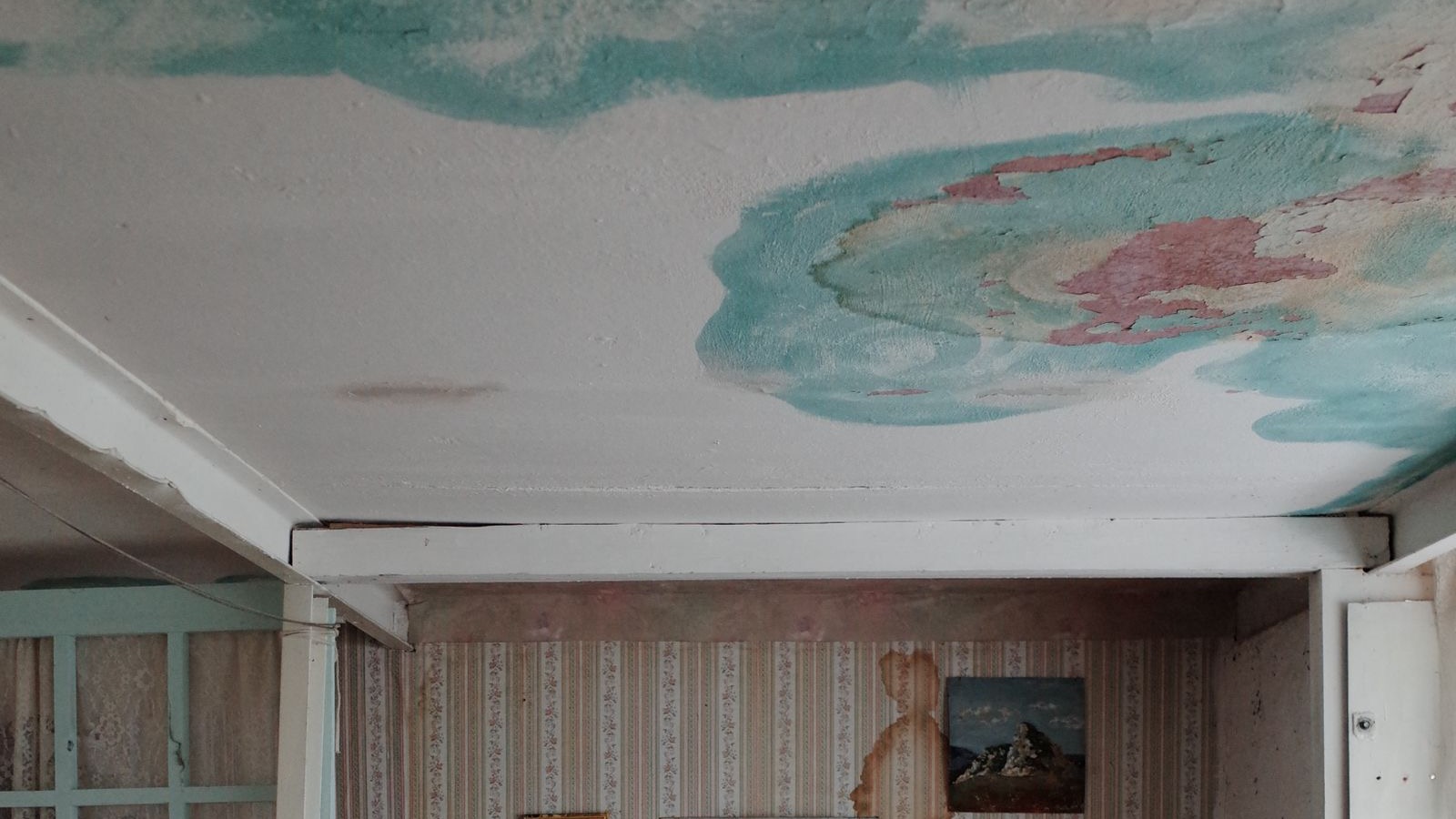 A water stain spreading across a ceiling